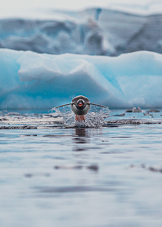 Graceful