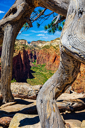 Angel's Landing