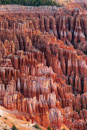 Bryce Hoodoos