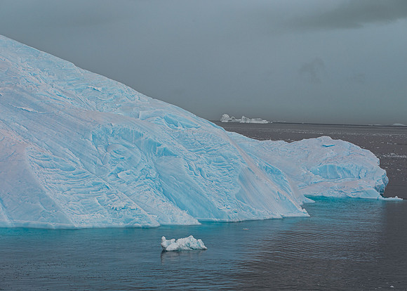 Blue Bergs