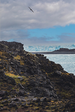 Penguin Island